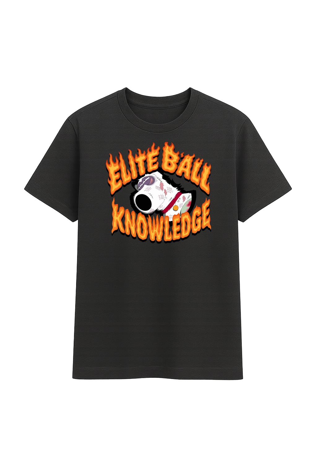 Elite Ball Knowledge